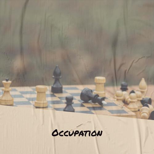 Occupation