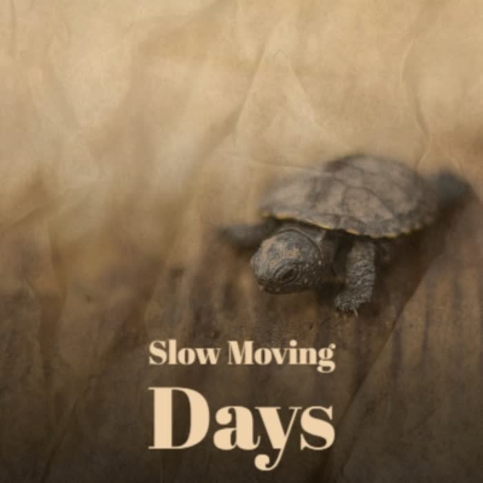 Slow Moving Days