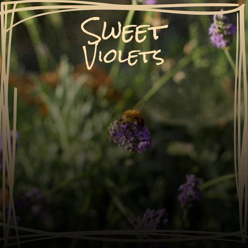 Sweet Violets