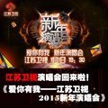 2015年江苏卫视跨年新年演唱会-爱你一生有我