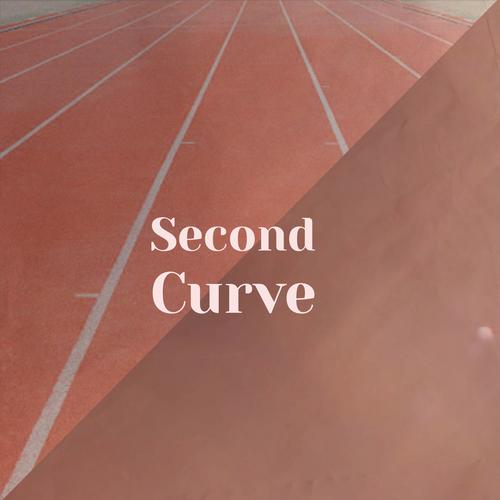 Second Curve