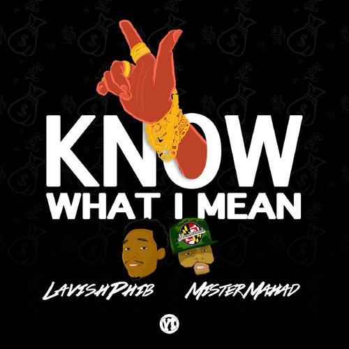 Know What I Mean (feat. Mister Mahad) (Explicit)