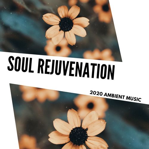 Soul Rejuvenation - 2020 Ambient Music