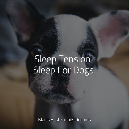 Sleep Tension Sleep For Dogs