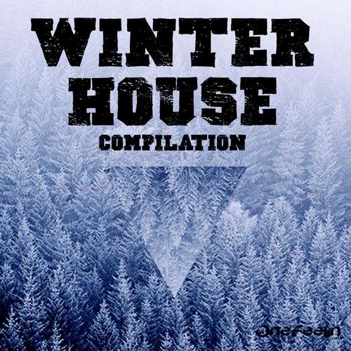 Winter House Compilation