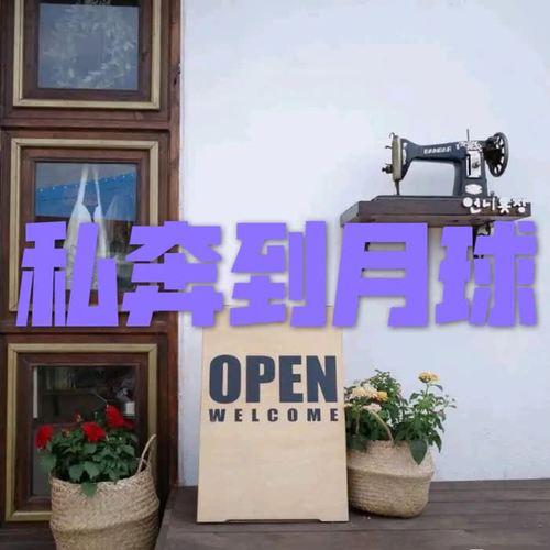 私奔到月球