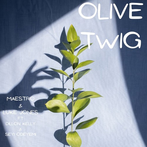 Olive Twig