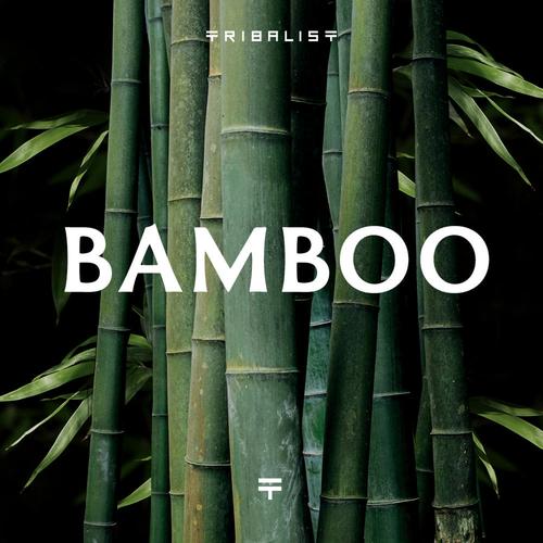 Bamboo