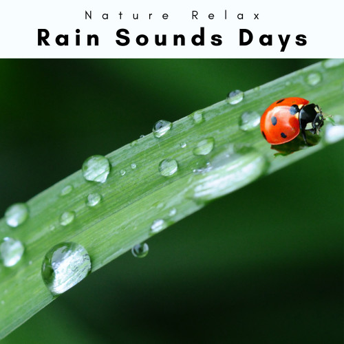 2022 Rain Sounds Days