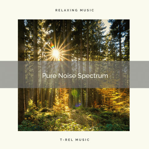 Pure Noise Spectrum