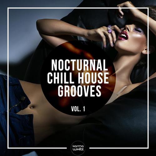 Nocturnal Chill House Grooves, Vol. 1 (Explicit)