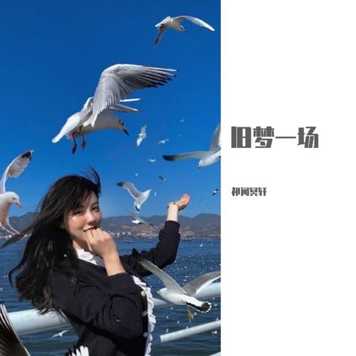 旧梦一场