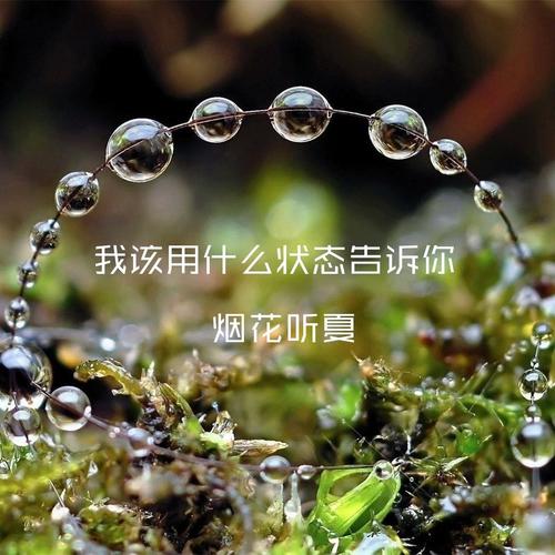 我该用什么状态告诉你