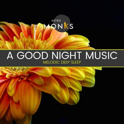 A Good Night Music - Melodic Deep Sleep