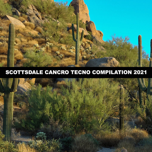 SCOTTSDALE CANCRO TECNO COMPILATION 2021