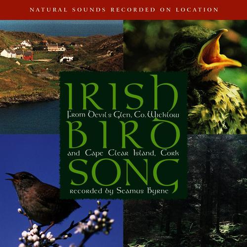 Irish Birdsong