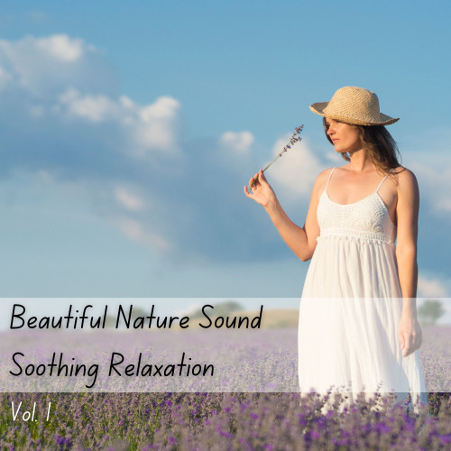 Beautiful Nature Sound Soothing Relaxation Vol. 1 - 2 Hours