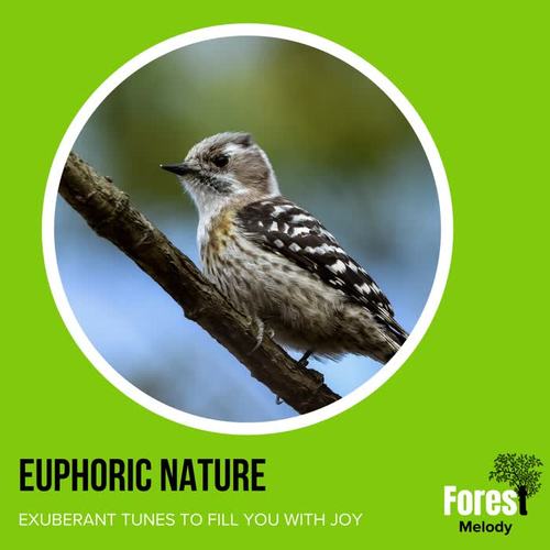 Euphoric Nature - Exuberant Tunes to Fill You with Joy