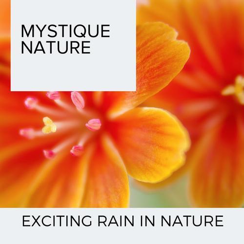 Mystique Nature - Exciting Rain in Nature