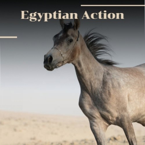 Egyptian Action