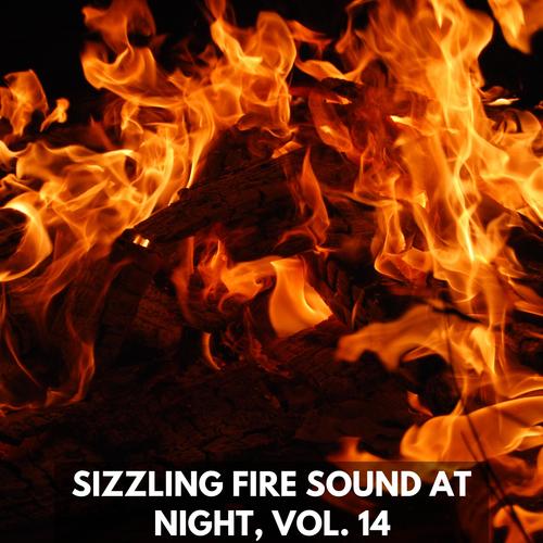 Sizzling Fire Sound at Night, Vol. 14