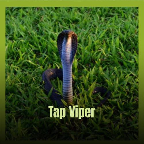 Tap Viper