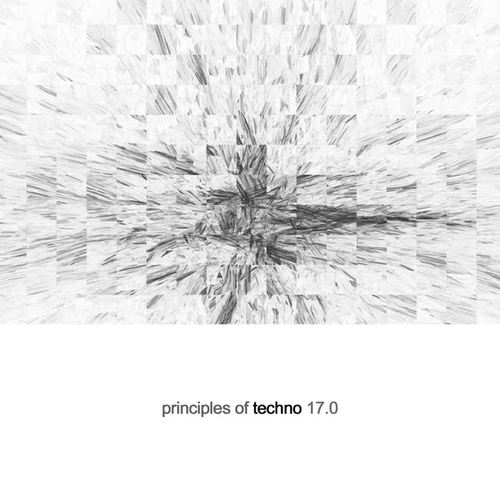 Principles of Techno, Vol. 17