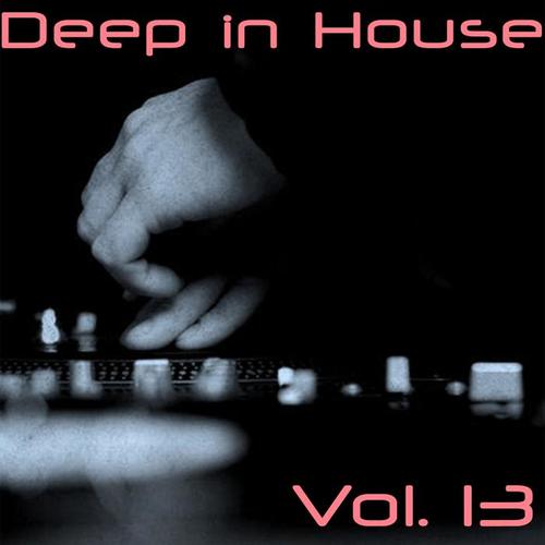 Deep in House, Vol. 13