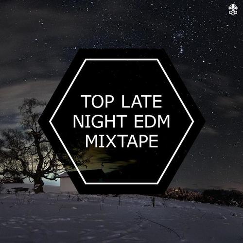 Top Late Night EDM Mixtape