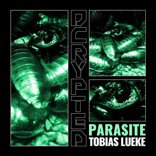 Parasite