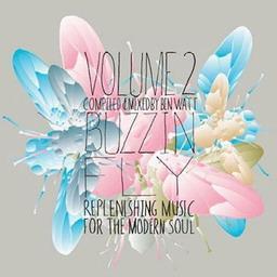 Buzzin Fly Volume 2