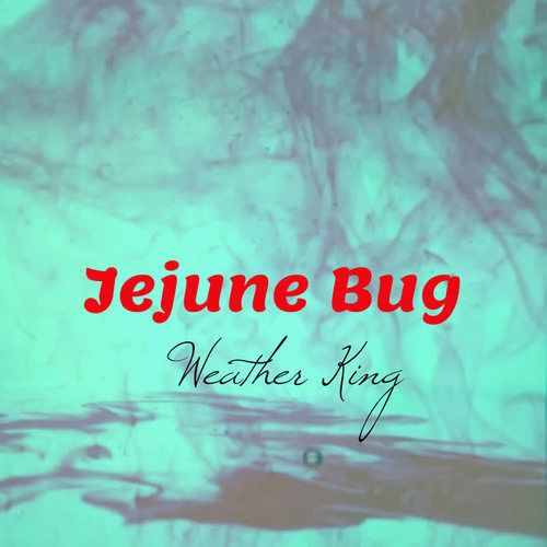 Jejune Bug