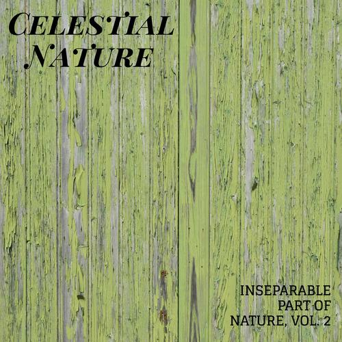 Celestial Nature - Inseparable Part of Nature, Vol. 2