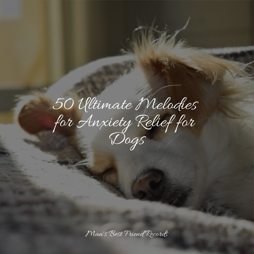 50 Ultimate Melodies for Anxiety Relief for Dogs