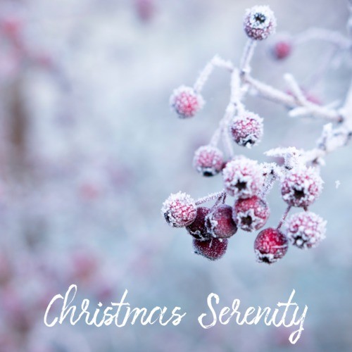 Christmas Serenity