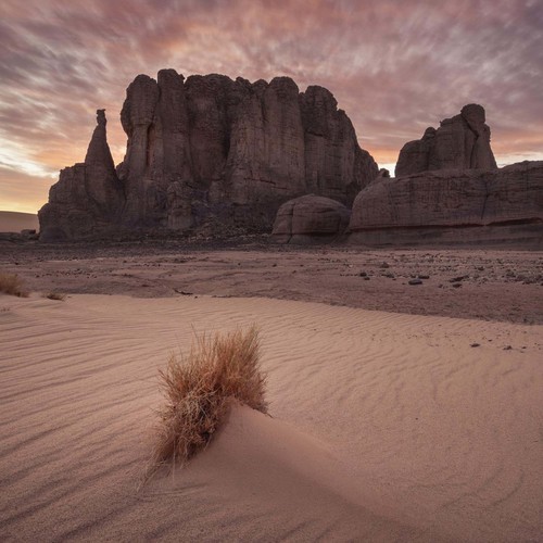 BUTTE