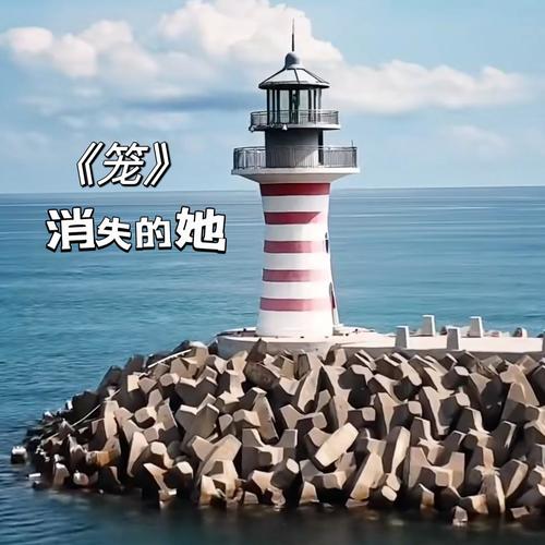 笼《消失的她》