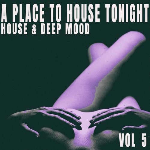 A Place to House Tonight, Vol. 5