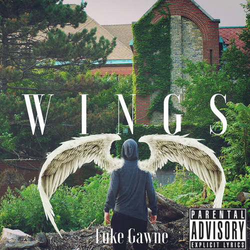 Wings