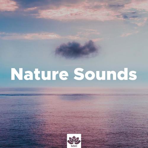 Nature Sounds