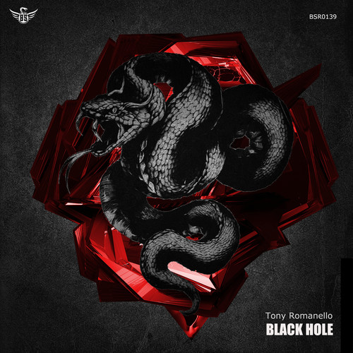 Black Hole