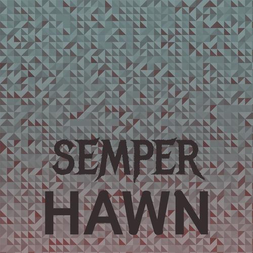 Semper Hawn