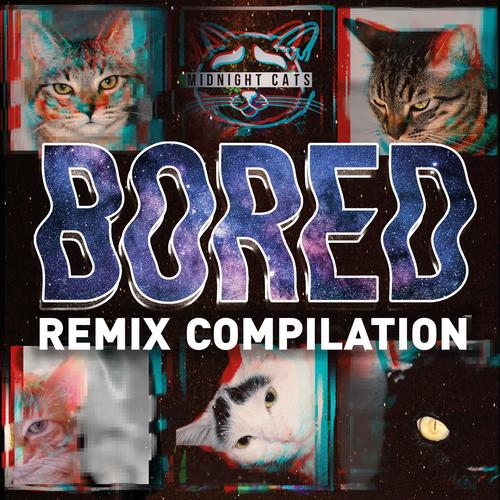 BORED COMPILATION (Explicit)