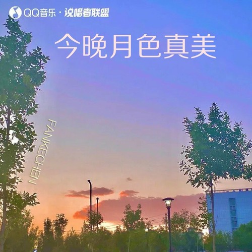 今晚月色真美