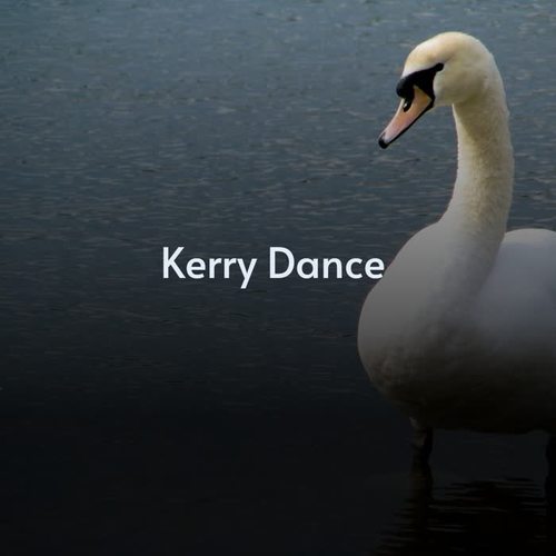 Kerry Dance