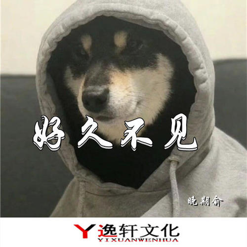 好久不见