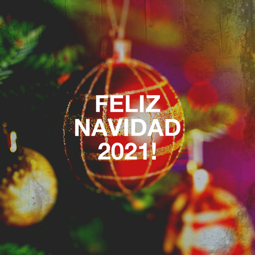 Feliz Navidad 2021!