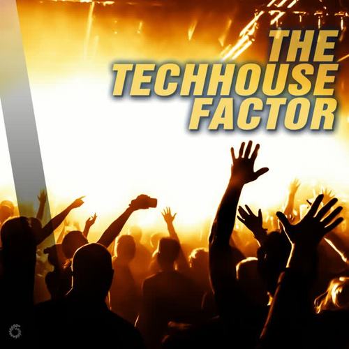 The Techhouse Factor