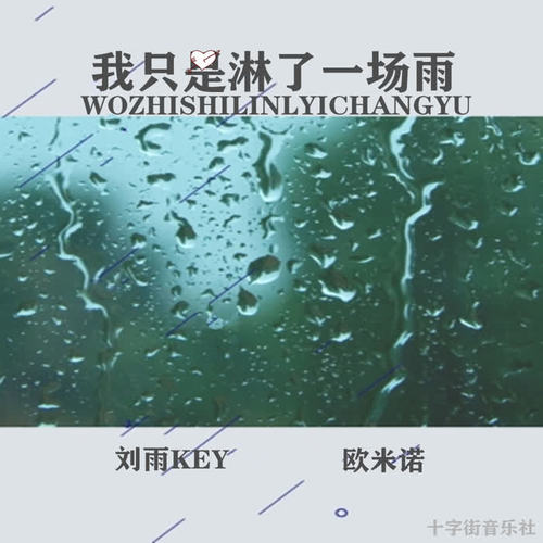 我只是淋了一场雨.