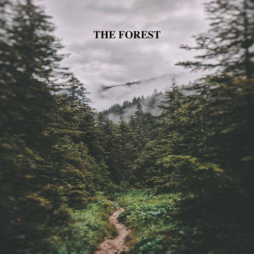 The Forest